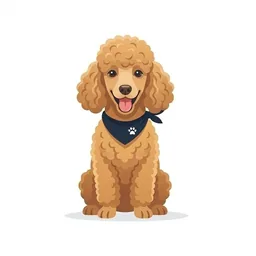 Poodle illustration